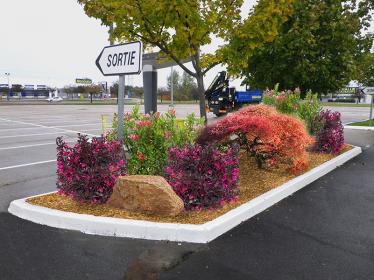 Conception à tendance végétale