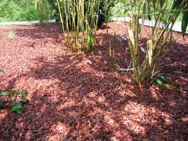 Paillage en coque de Cacao