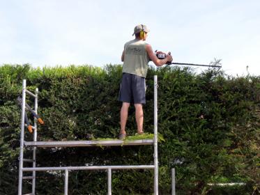 Taille avec échafaudage, Mably (42)