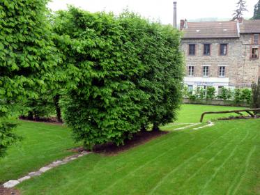 Chantier d'entretien, Saint Victor/ Rhins (42)