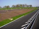 Plantations et mise en place des tuteurs